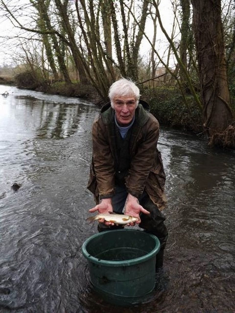 barbel stocking 2015 1 20150408 1846426630