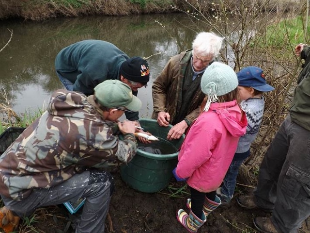 barbel stocking 2015 3 20150408 1675160330