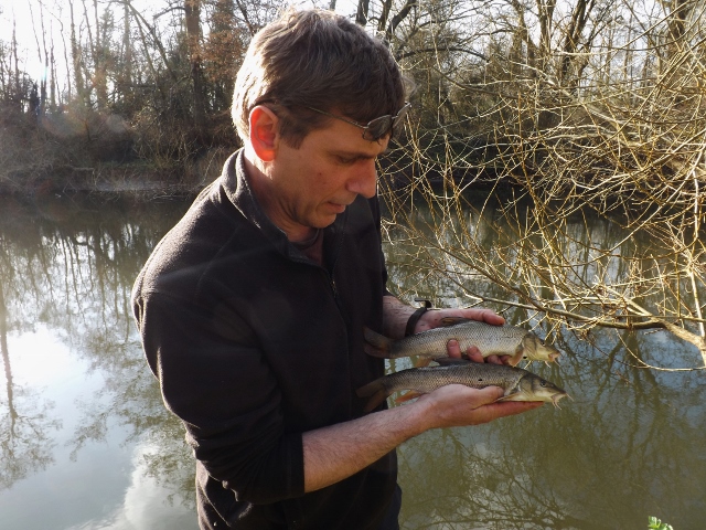 loddon barbel stocking 1 20150407 2009772825