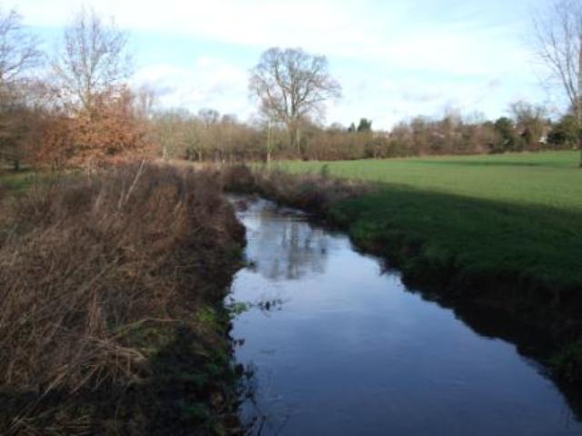 emmbrok walk 2 20120120 1723376878