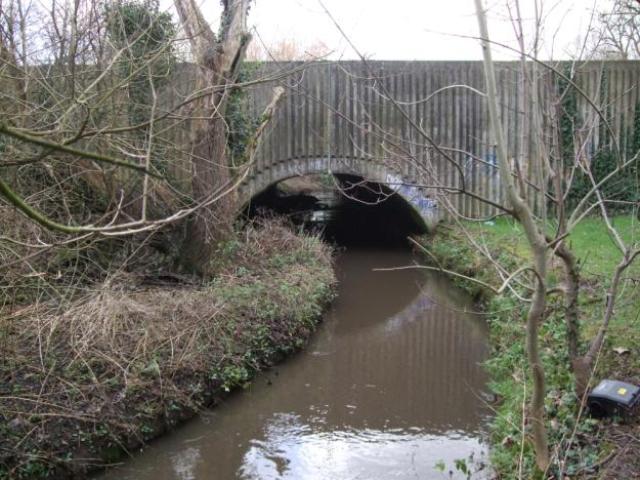 emmbrok walk 4 20120120 1540030390