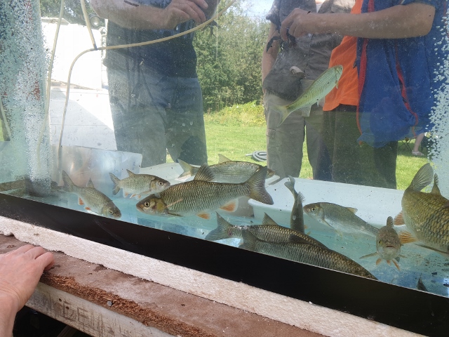 emmbrook riverside park open day 1 20190902 2058294381