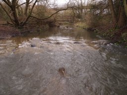 loddon_rivers_week_2013_16_20130411_1266466447