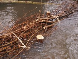 loddon_rivers_week_2013_18_20130411_1415924035