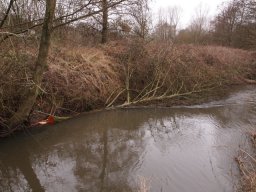 loddon_rivers_week_2013_21_20130411_1952741705