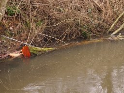 loddon_rivers_week_2013_22_20130411_1175555725