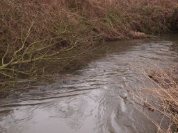 loddon_rivers_week_2013_23_20130411_1413097989