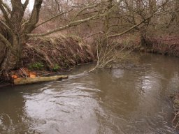 loddon_rivers_week_2013_24_20130411_1651402942