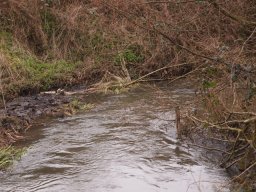 loddon_rivers_week_2013_25_20130411_2052268271
