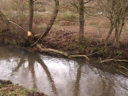 loddon_rivers_week_2013_26_20130411_1212564173