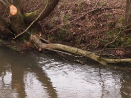 loddon_rivers_week_2013_27_20130411_1847399068