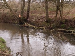 loddon_rivers_week_2013_28_20130411_1527527774