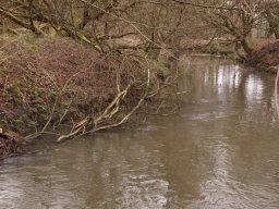 loddon_rivers_week_2013_29_20130411_2035552102