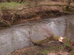 loddon_rivers_week_2013_30_20130411_1628947507