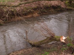 loddon_rivers_week_2013_33_20130411_1380500289