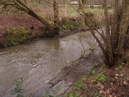 loddon_rivers_week_2013_34_20130411_1024796371