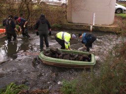 loddon_rivers_week_2013_4_20130411_2013035381
