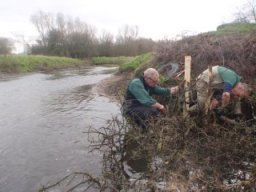 hawley_meadows_20-03-12_13_20120602_1360757249