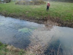 hawley_meadows_20-03-12_14_20120602_1641557925