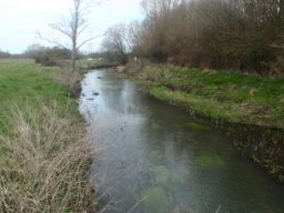 hawley_meadows_20-03-12_15_20120602_1109618806