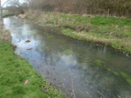 hawley_meadows_20-03-12_18_20120602_1488657073