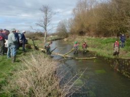 hawley_meadows_20-03-12_19_20120602_1331130380