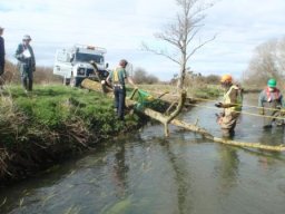 hawley_meadows_20-03-12_20_20120602_2055207909