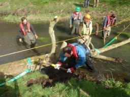 hawley_meadows_20-03-12_22_20120602_1635340362