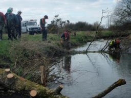 hawley_meadows_20-03-12_25_20120602_1442475956