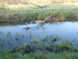 hawley_meadows_20-03-12_28_20120602_1928389756