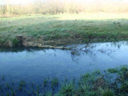 hawley_meadows_20-03-12_29_20120602_1650903982