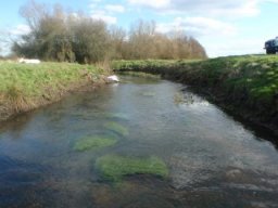 hawley_meadows_20-03-12_2_20120602_1927348850