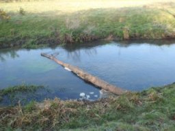 hawley_meadows_20-03-12_32_20120602_1603712234