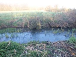 hawley_meadows_20-03-12_33_20120602_1037454175