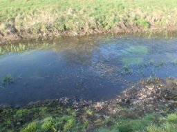 hawley_meadows_20-03-12_34_20120602_1989142790