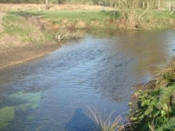 hawley_meadows_20-03-12_35_20120602_1678196202