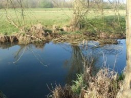 hawley_meadows_20-03-12_36_20120602_1475856136