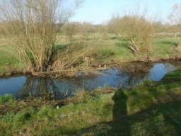 hawley_meadows_20-03-12_38_20120602_1453781024