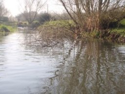 hawley_meadows_20-03-12_39_20120602_1160279988