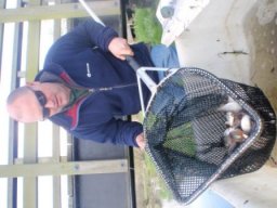 hawley_meadows_20-03-12_41_20120602_1788878222