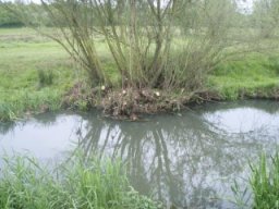 hawley_meadows_20-03-12_42_20120602_1177081179