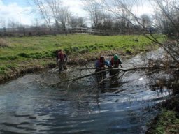 hawley_meadows_20-03-12_6_20120602_1634171027