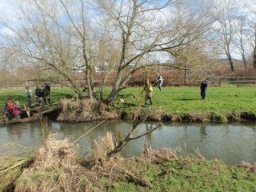 hawley_meadows_20-03-12_7_20120602_2043187243