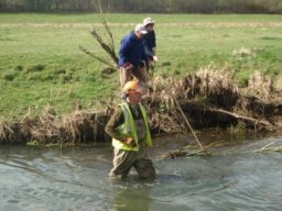 hawley_meadows_20-03-12_9_20120602_2083991606