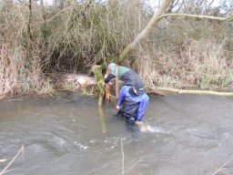 whitewater_2013_22_20130322_1717091223