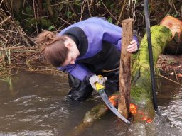 whitewater_2013_32_20130322_1090814873