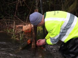 whitewater_2013_33_20130322_1567044259