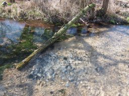 potbridge_24-03-12_20_20120602_1662701131