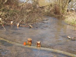 potbridge_24-03-12_21_20120602_1751540808