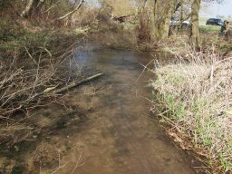 potbridge_24-03-12_22_20120602_1873731583